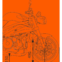 www.msv-beier.de